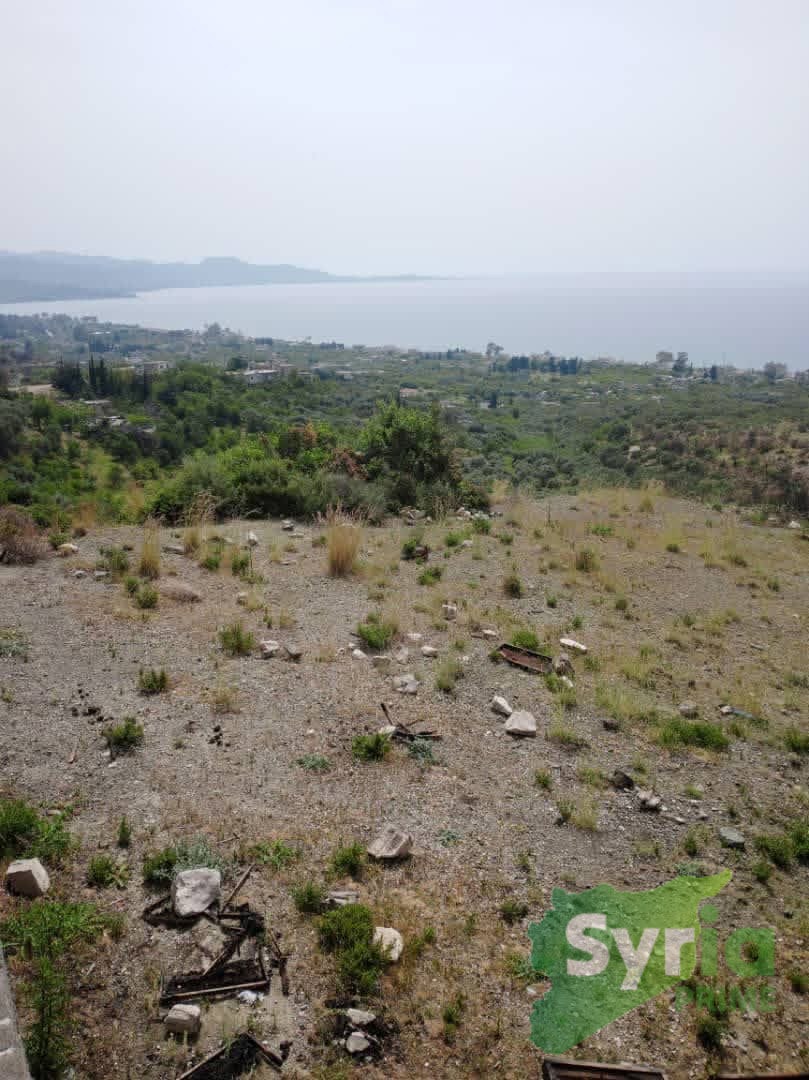Syria Prime - عقارات سوريا برايم -1 Sale Land Latakia 70000 USD