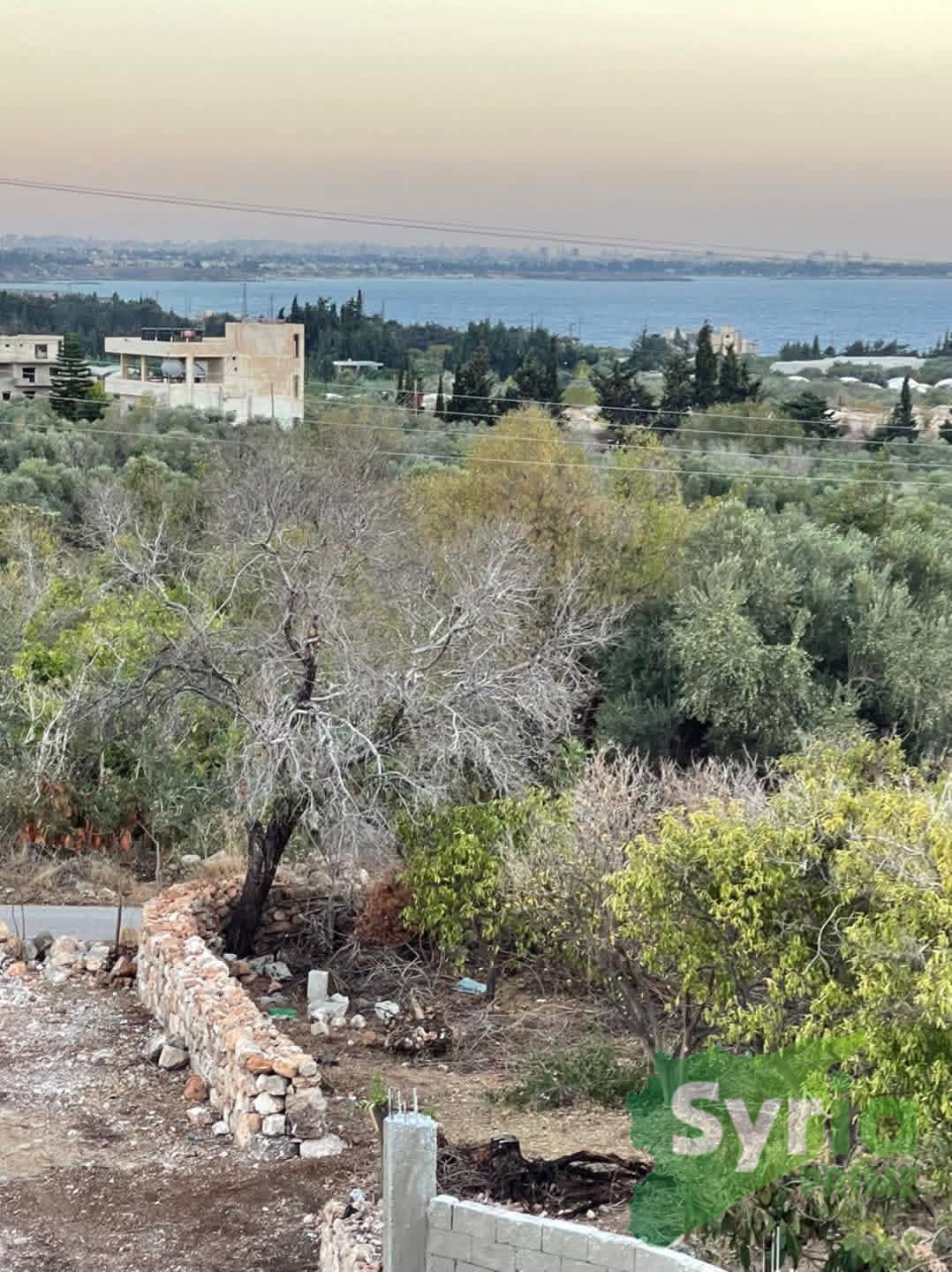 Syria Prime - عقارات سوريا برايم -3 Sale Land Latakia 40000 USD