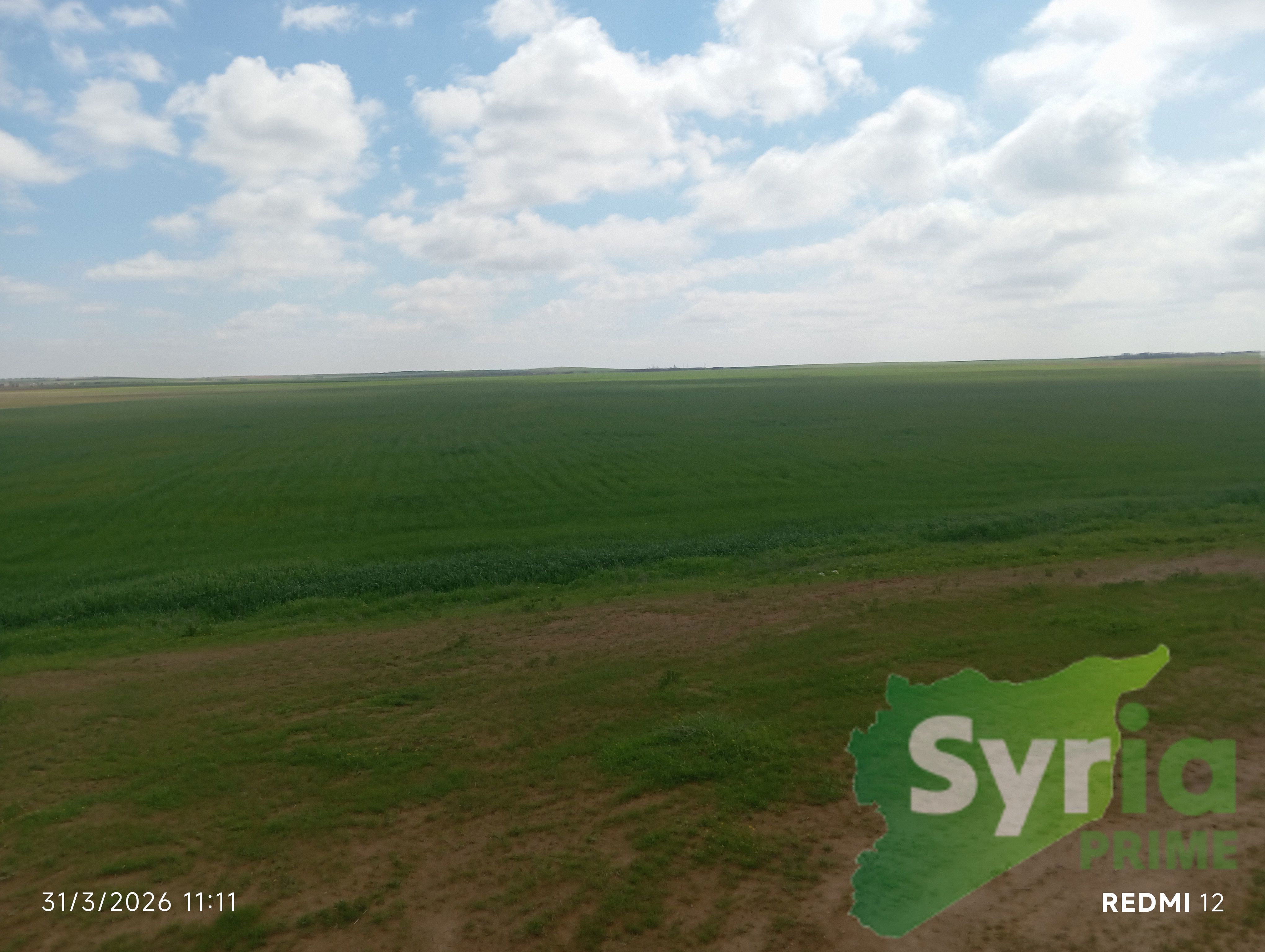 Syria Prime - عقارات سوريا برايم -2 Sale Land ArRaqqah 70000 USD