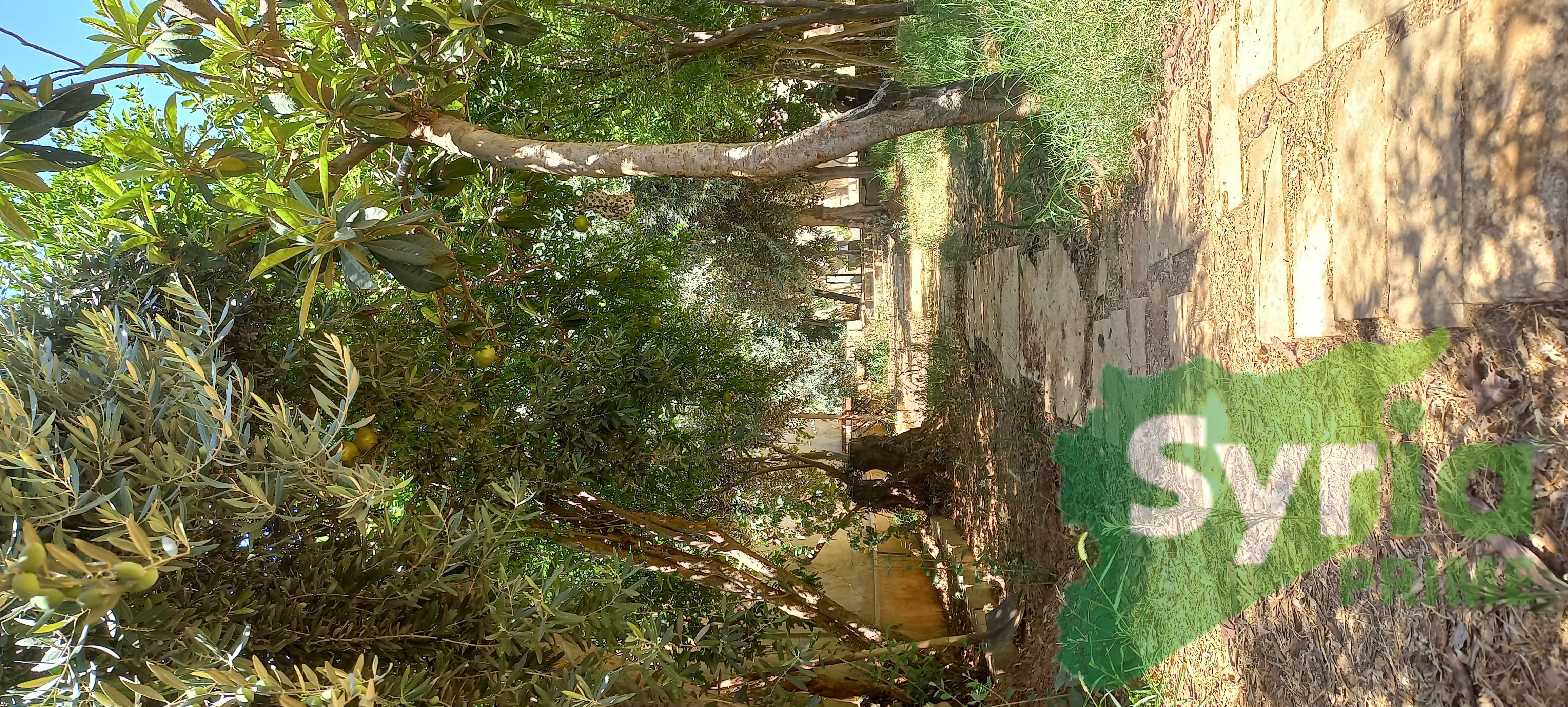 Syria Prime - عقارات سوريا برايم -7 Sale Land RifDimashq 275000 USD