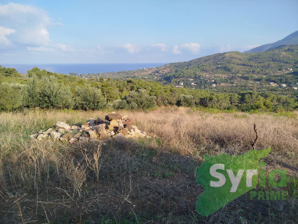 Syria Prime - عقارات سوريا برايم - gallery_4249 Sale Land Latakia 65000000 SYR