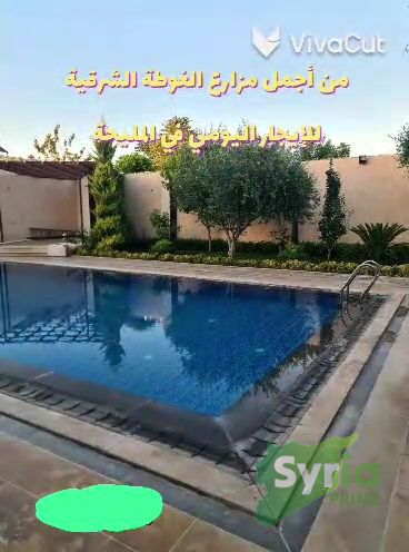 Syria Prime - عقارات سوريا برايم - gallery_11331 Rent Farm RifDimashq 1500000 SYP