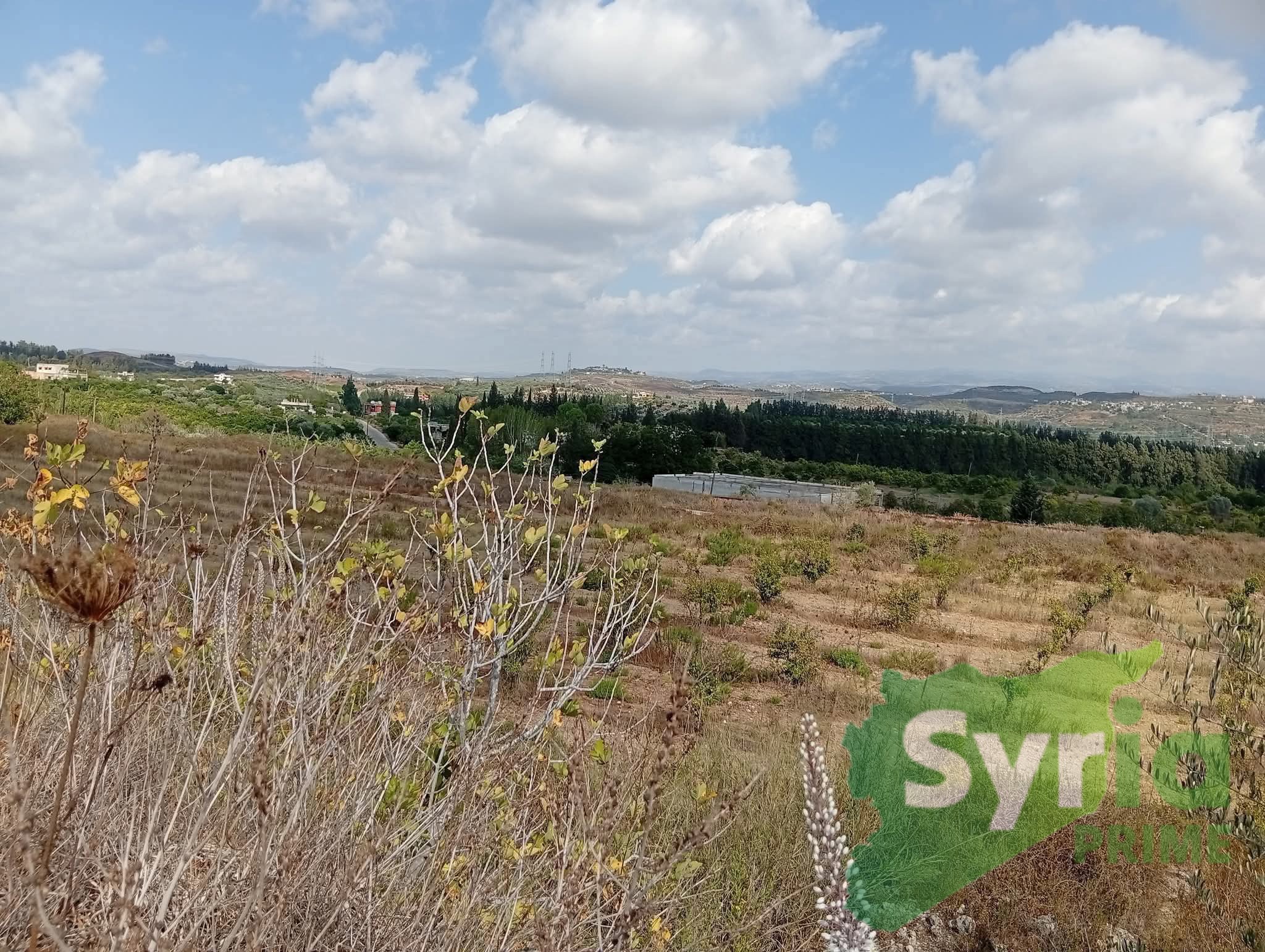 Syria Prime - عقارات سوريا برايم - gallery_4121 Sale Land Latakia 150000 USD