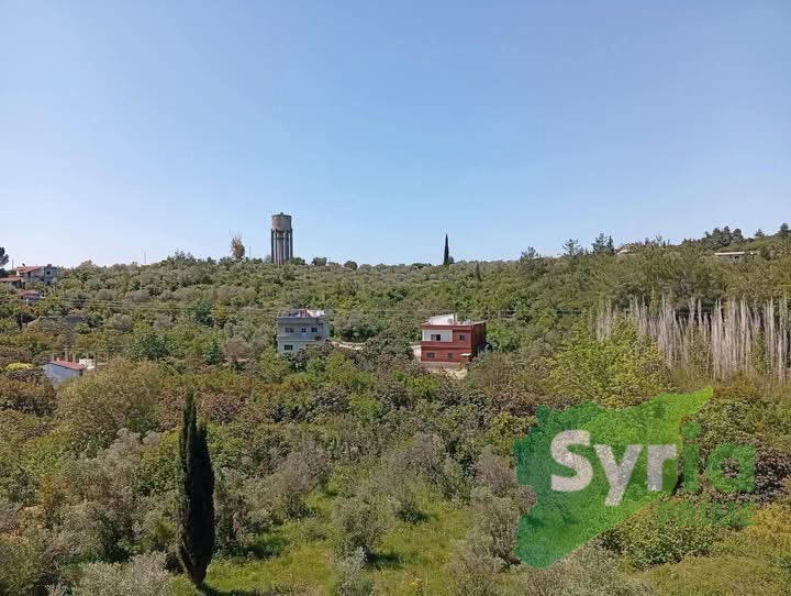 Syria Prime - عقارات سوريا برايم - gallery_11639 Sale House Latakia 15000 USD