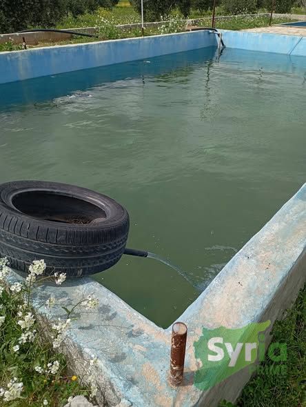 Syria Prime - عقارات سوريا برايم -1 Sale Farm Hama 300000000 SYP