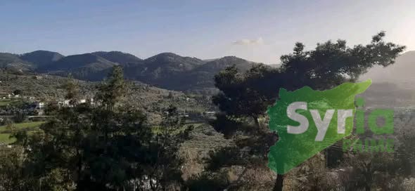 Syria Prime - عقارات سوريا برايم -1 Sale Land Latakia 18000 USD