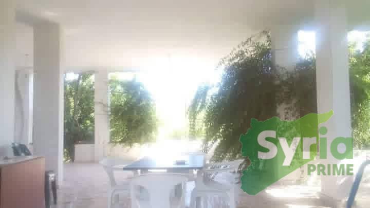 Syria Prime - عقارات سوريا برايم -1 Sale Farm Latakia 1600000000 SYR