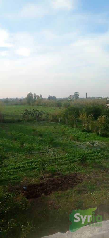 Syria Prime - عقارات سوريا برايم -1 Sale Farm Latakia 75000 USD