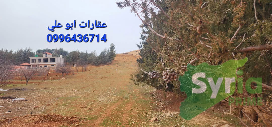 Syria Prime - عقارات سوريا برايم - gallery_6415 Sale Land RifDimashq 38000 USD