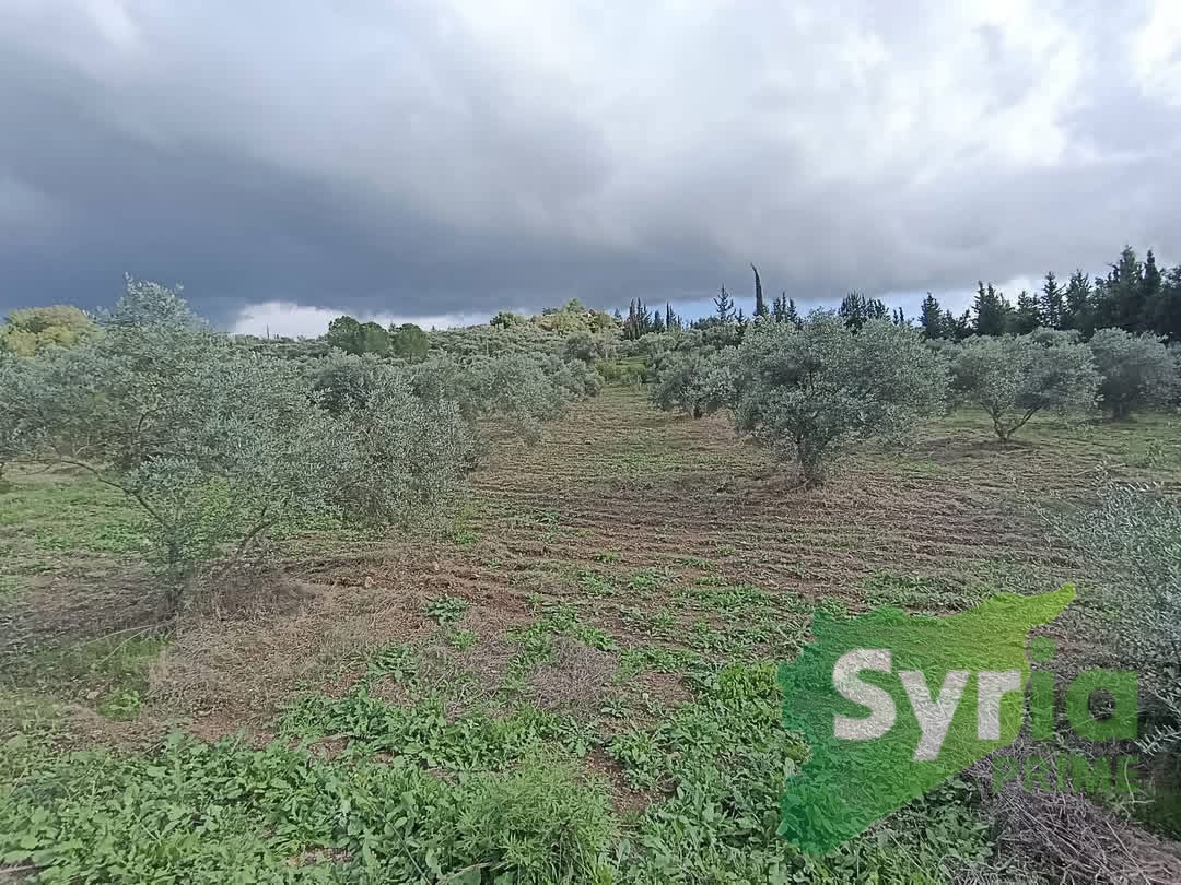 ارض للبيع في اللاذقية، مناطق اخرى — الصورة الرئيسية