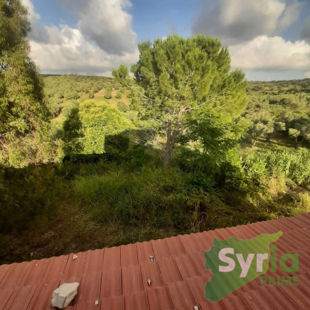 Syria Prime - عقارات سوريا برايم -0 Sale Land Latakia 400000000 SYP