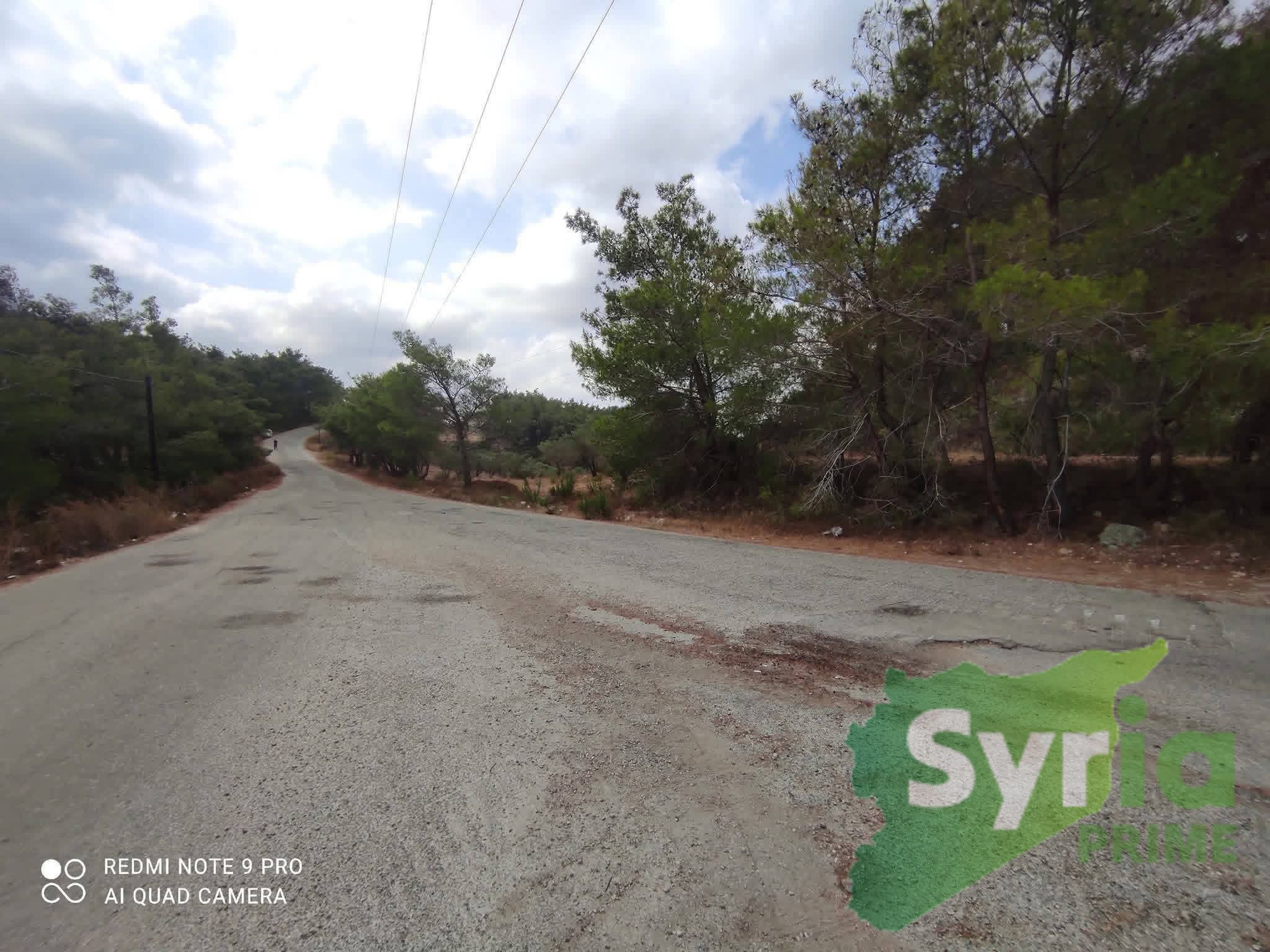 Syria Prime - عقارات سوريا برايم -2 Sale Land Latakia 20000 USD