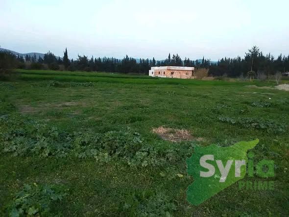 Syria Prime - عقارات سوريا برايم -0 Sale Land Latakia 3000 USD