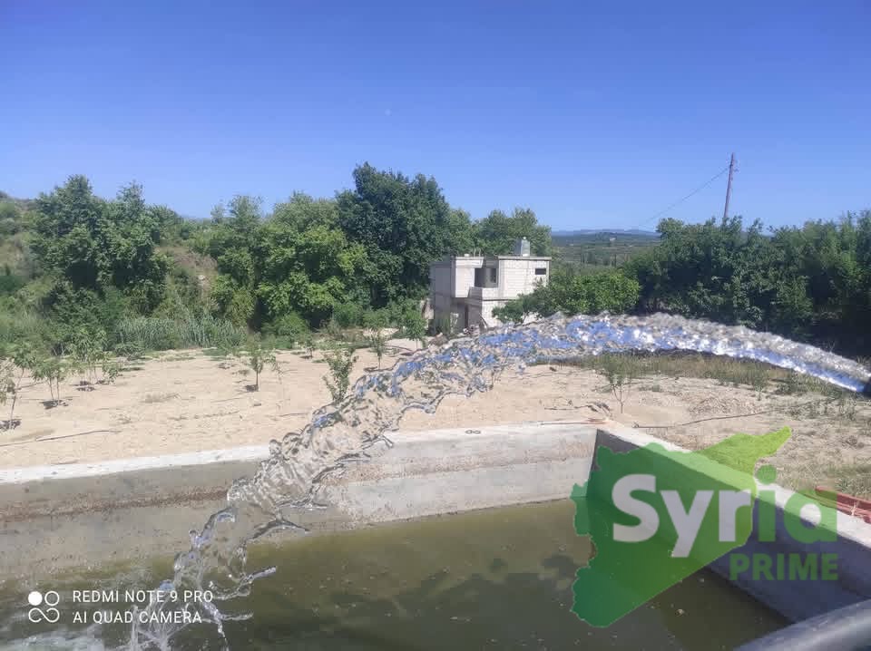 Syria Prime - عقارات سوريا برايم - gallery_14310 Sale Farm Latakia 35000 USD