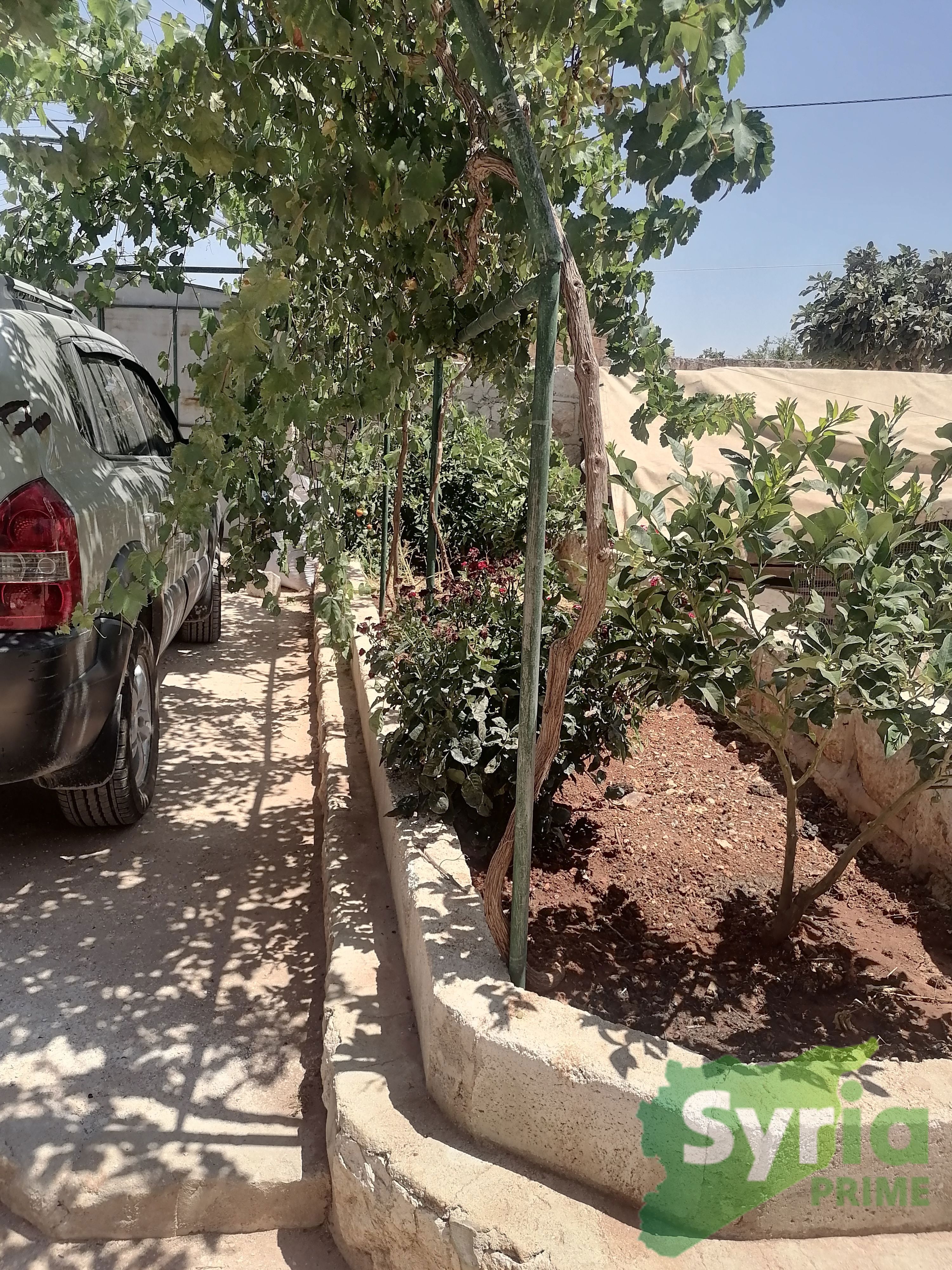 Syria Prime - عقارات سوريا برايم -2 Sale House Idlib 48000 USD