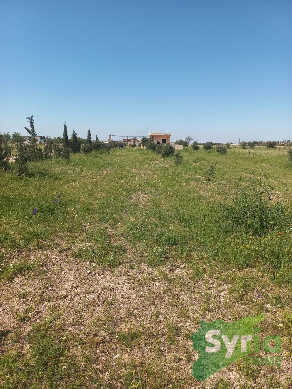 Syria Prime - عقارات سوريا برايم -2 Sale Farm Hama 70000000 SYP
