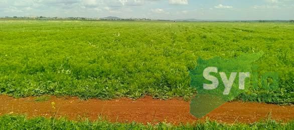 Syria Prime - عقارات سوريا برايم -1 Sale Land Hama 350000 USD