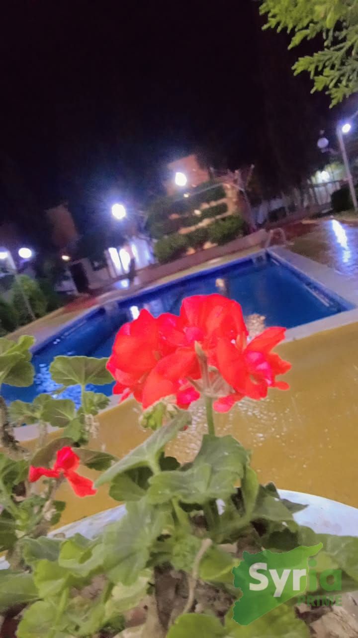 Syria Prime - عقارات سوريا برايم -7 Rent Farm RifDimashq 150 USD