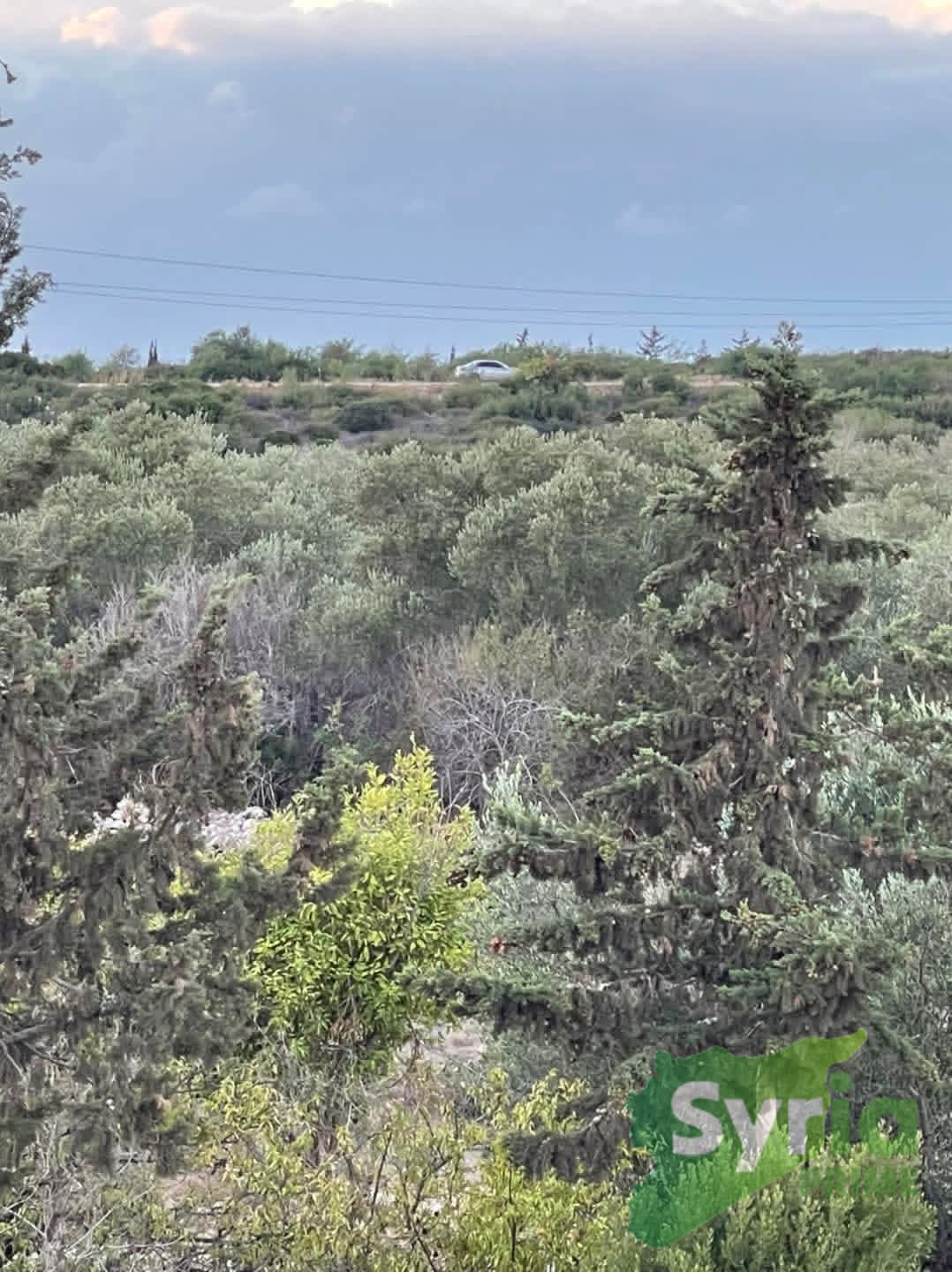 Syria Prime - عقارات سوريا برايم -1 Sale Land Latakia 40000 USD