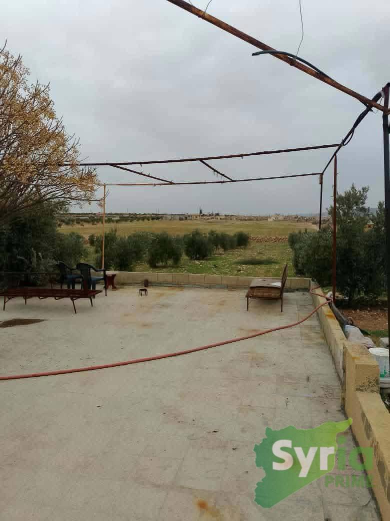Syria Prime - عقارات سوريا برايم -1 Sale Farm Hama 260000000 SYP