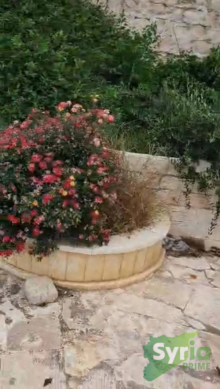 Syria Prime - عقارات سوريا برايم -2 Sale Farm Aleppo 75000 USD