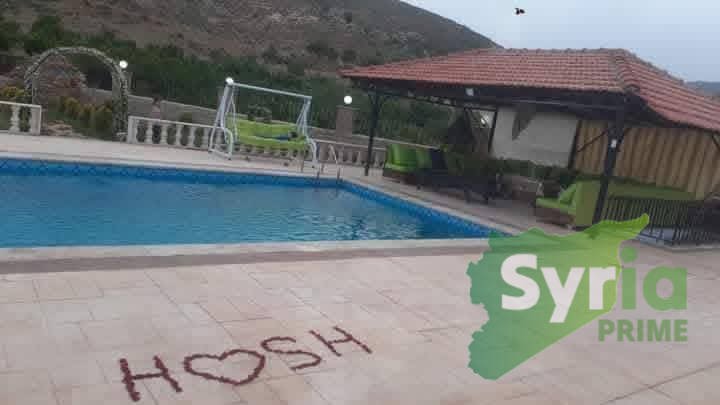 Syria Prime - عقارات سوريا برايم - gallery_5972 Sale Farm RifDimashq 140000 USD