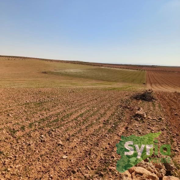 Syria Prime - عقارات سوريا برايم -2 Sale Land Homs 17000 USD
