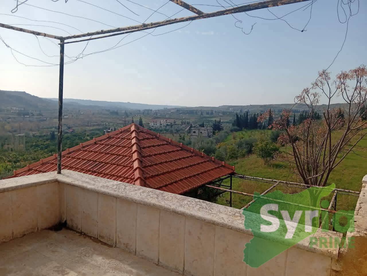 Syria Prime - عقارات سوريا برايم -2 Sale Farm Latakia 140000 USD