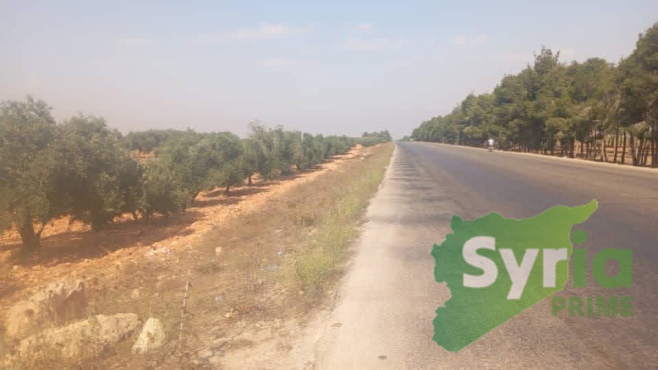 Syria Prime - عقارات سوريا برايم -1 Sale Land Homs 80000 USD