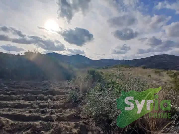 Syria Prime - عقارات سوريا برايم -2 Sale Land Latakia 24000 USD