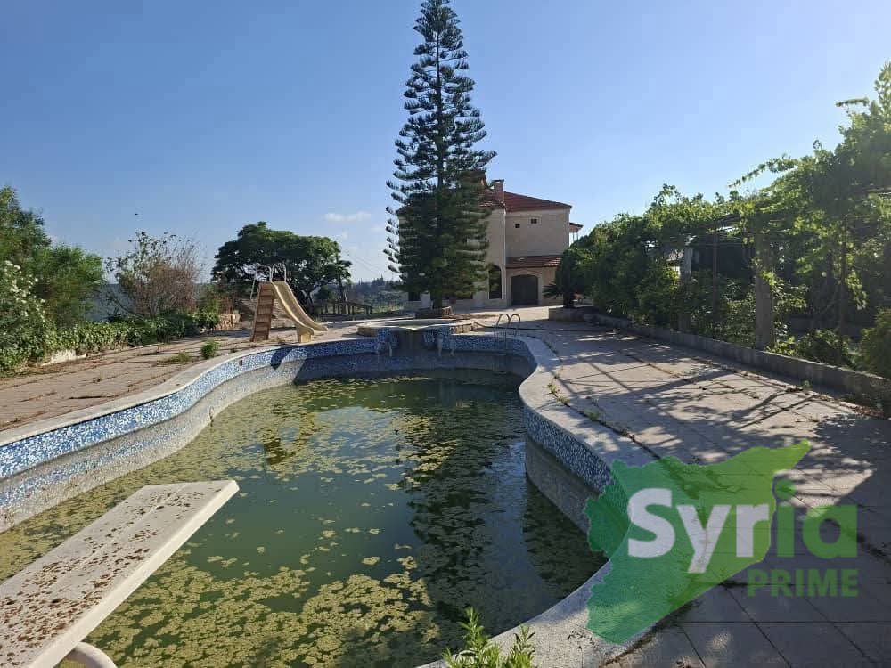 Syria Prime - عقارات سوريا برايم -1 Sale Farm Latakia 200000 USD