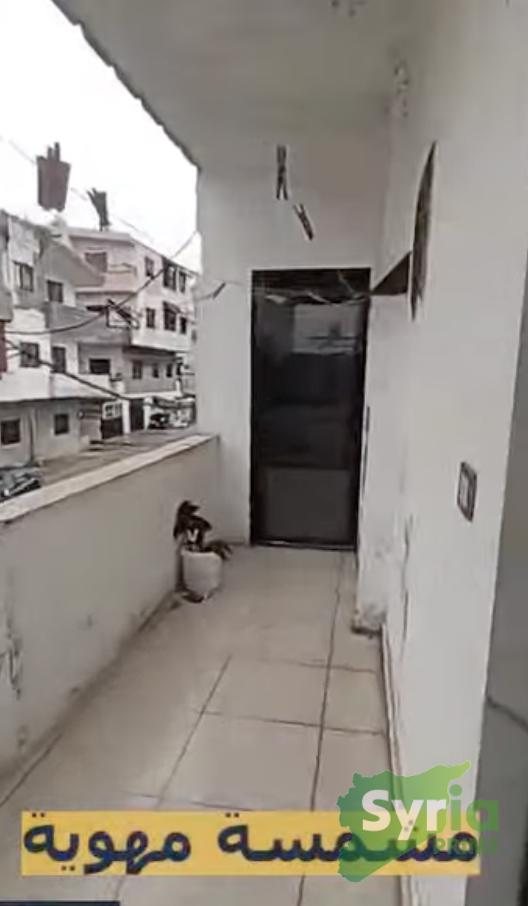 شقة في طرطوس