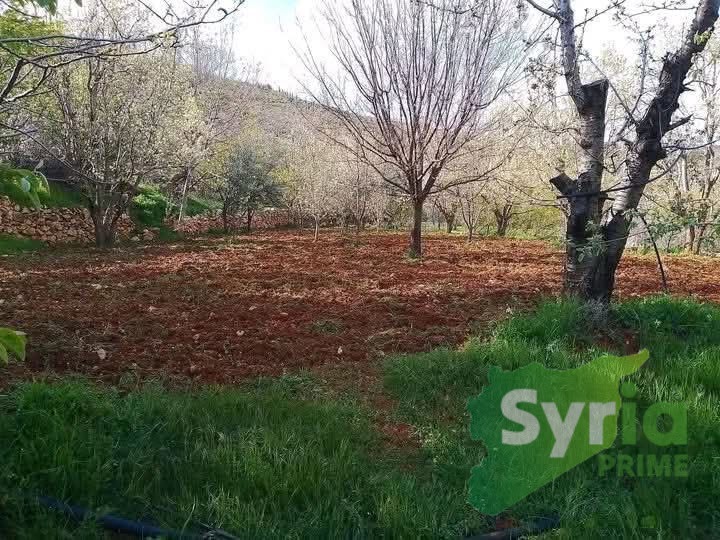 ارض في ريف دمشق