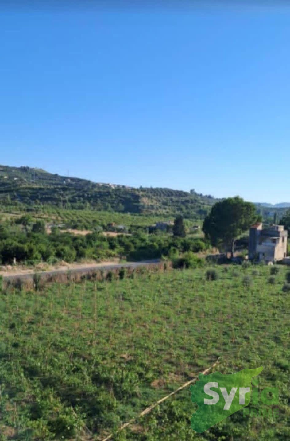Syria Prime - عقارات سوريا برايم -0 Sale Land Latakia 85000 USD