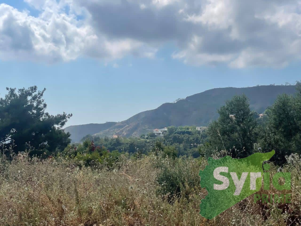 Syria Prime - عقارات سوريا برايم -2 Sale Land Latakia 10000 USD