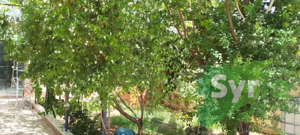 Syria Prime - عقارات سوريا برايم -2 Sale Farm RifDimashq 35000 USD