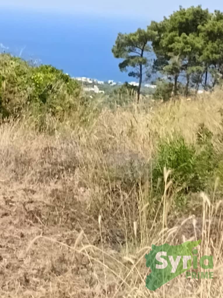 Syria Prime - عقارات سوريا برايم -4 Sale Farm Hama 65000 USD