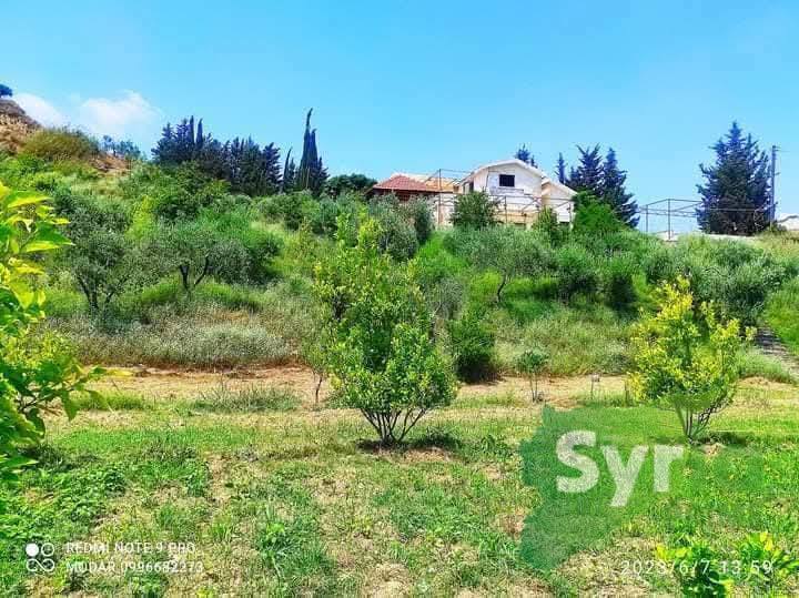 Syria Prime - عقارات سوريا برايم -6 Sale Farm Latakia 140000 USD
