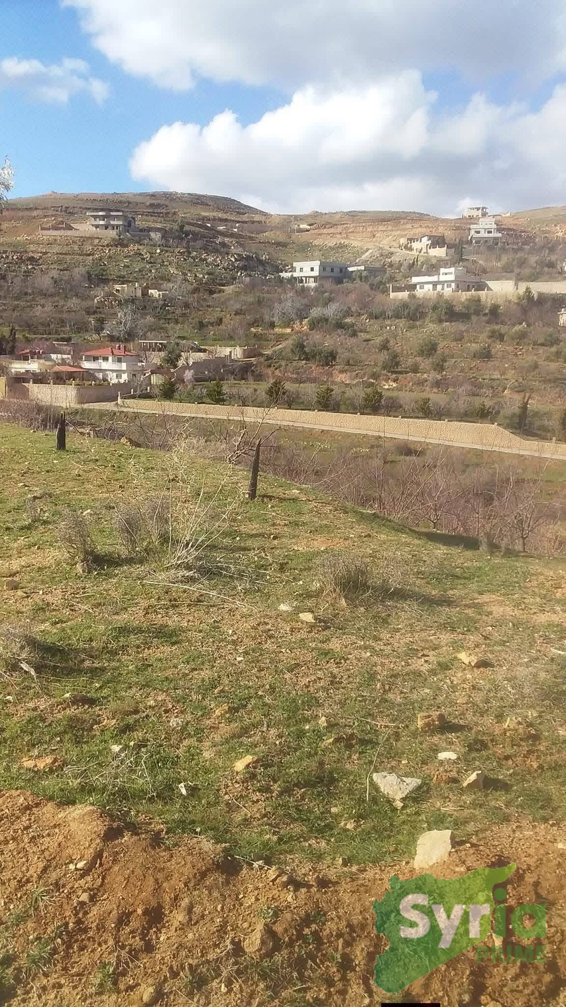 Syria Prime - عقارات سوريا برايم -1 Sale Land Latakia 17000 USD
