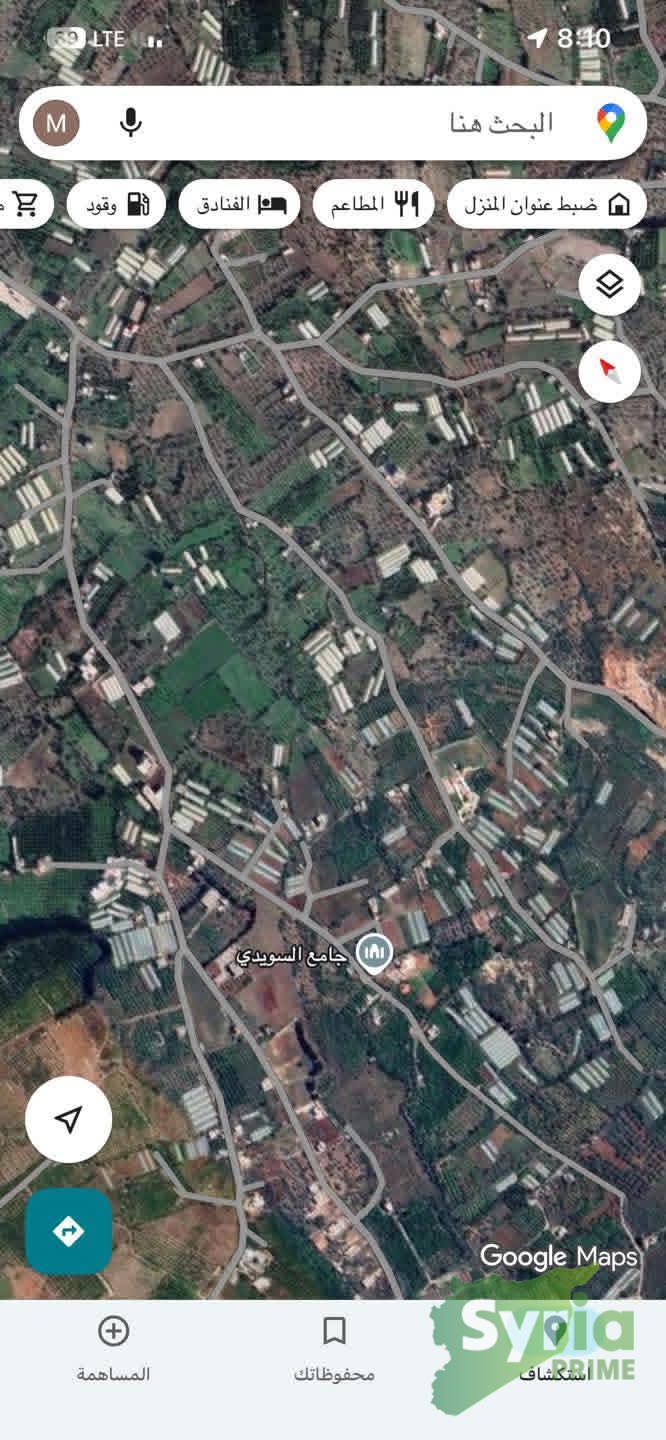 Syria Prime - عقارات سوريا برايم -6 Sale Land Latakia 40000 USD