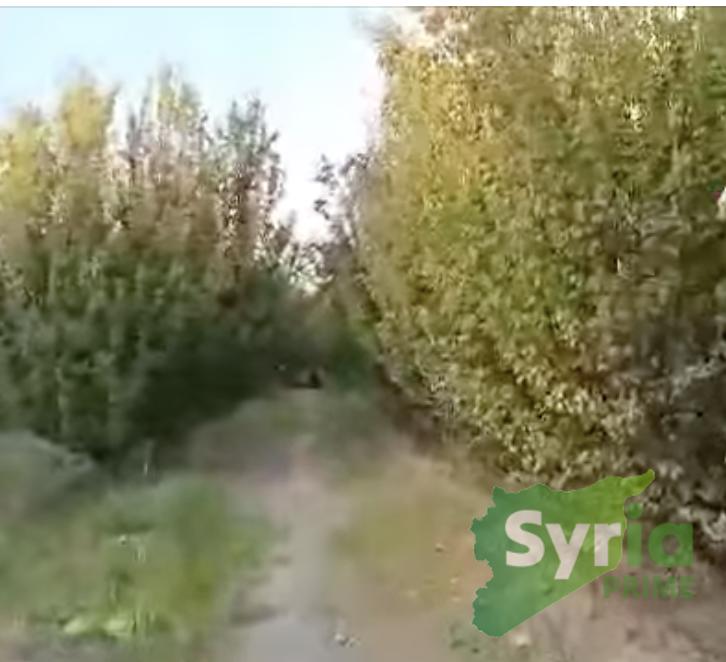 Syria Prime - عقارات سوريا برايم -0 Sale Land ArRaqqah 18000 USD