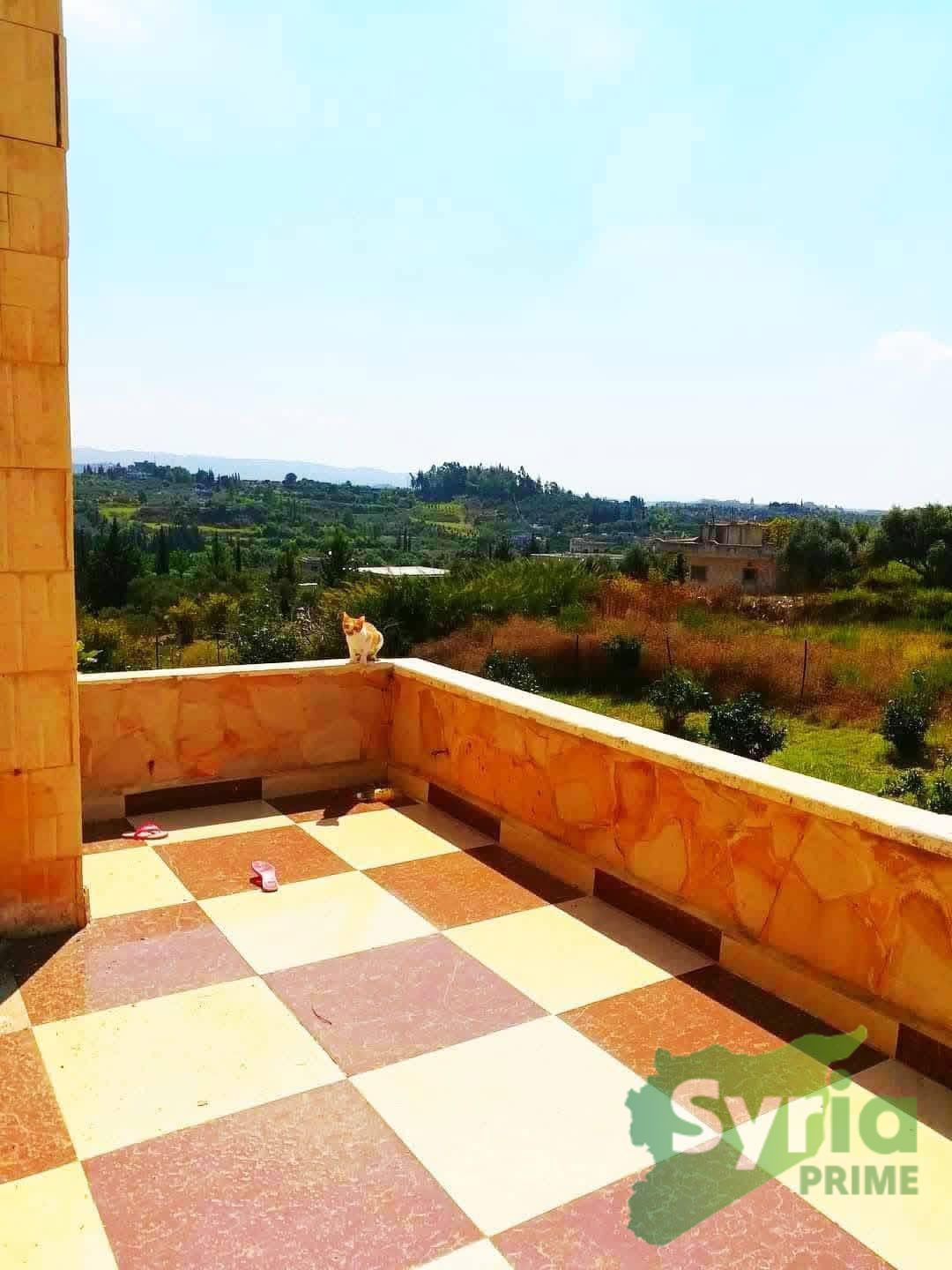 Syria Prime - عقارات سوريا برايم -2 Sale Villa Latakia 85000 USD