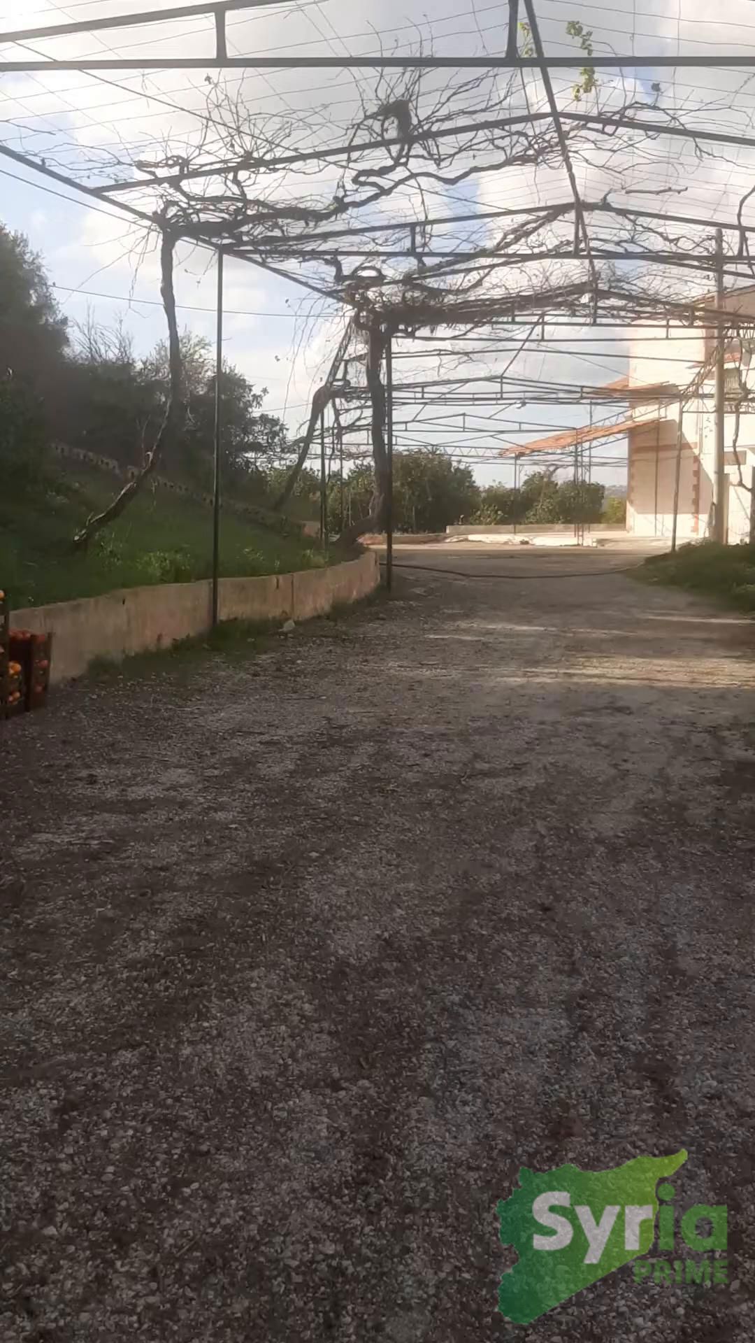 Syria Prime - عقارات سوريا برايم -1 Sale Farm Latakia 700000 USD