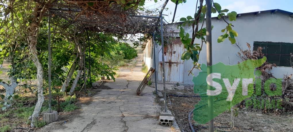 Syria Prime - عقارات سوريا برايم - gallery_9052 Sale Farm Tartus 550000 USD