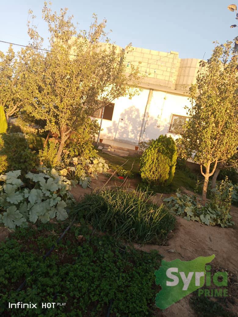 Syria Prime - عقارات سوريا برايم - gallery_7124 Sale Farm AlHasakah 29500 USD