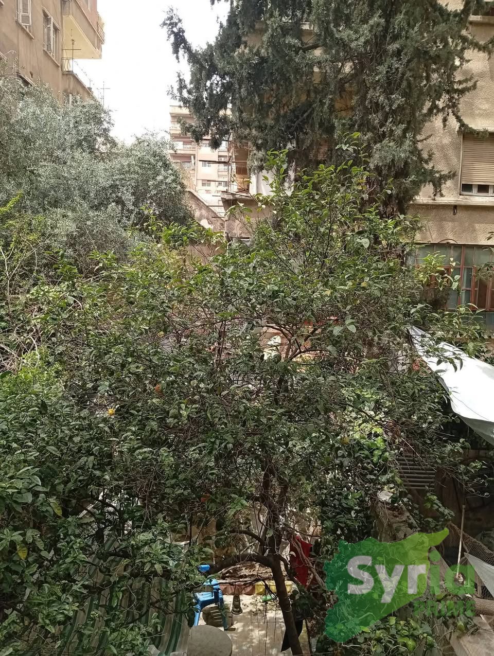 Syria Prime - عقارات سوريا برايم - gallery_7841 Sale House Damascus 270000 USD