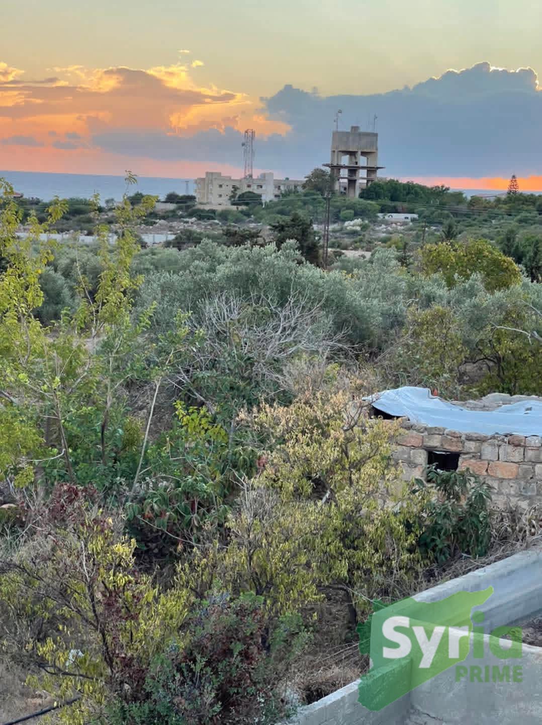 Syria Prime - عقارات سوريا برايم -2 Sale Land Latakia 40000 USD