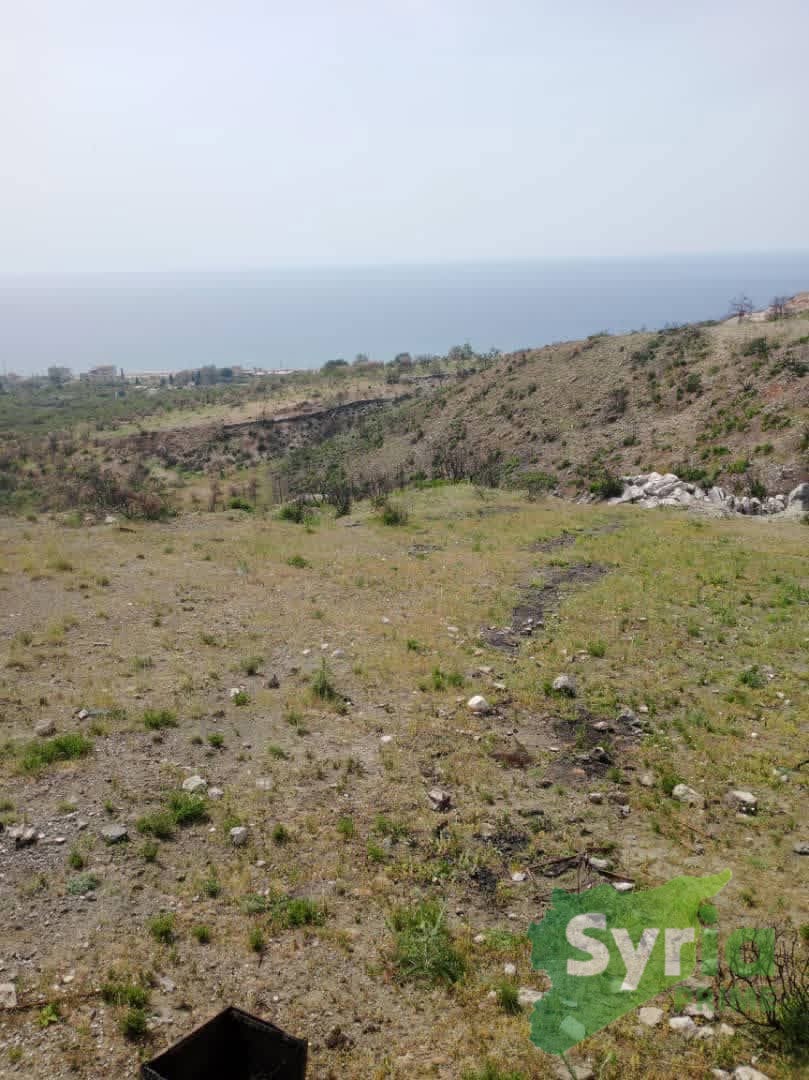 Syria Prime - عقارات سوريا برايم -2 Sale Land Latakia 70000 USD