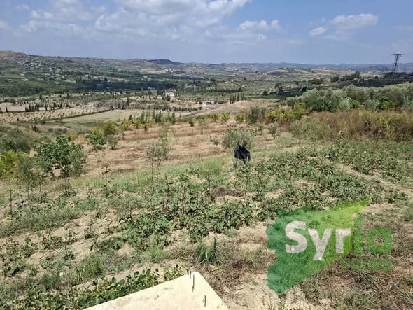 Syria Prime - عقارات سوريا برايم -1 Sale Land Latakia 85000 USD