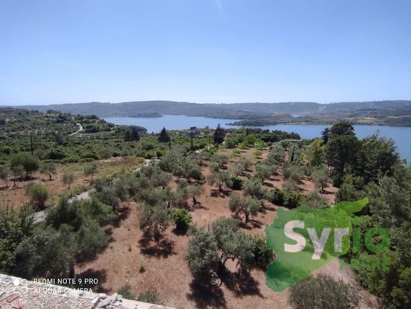 Syria Prime - عقارات سوريا برايم -1 Sale Land Latakia 90000 USD